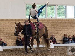DSC_1947_web
